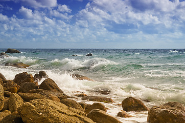 Image showing Sea shore