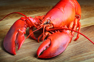 Image showing Red Lobster on wood