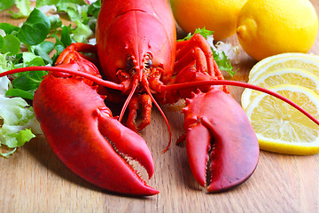 Image showing 	boiled lobster