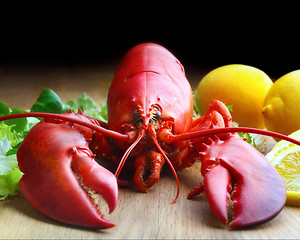 Image showing boiled lobster