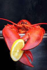 Image showing Lobster being boiled