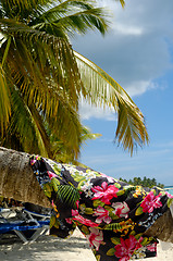 Image showing Clothing drying on palm