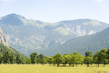 Image showing Alps in Austria