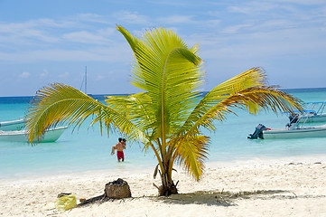 Image showing Paradise beach