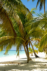 Image showing Paradise beach