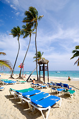 Image showing Beach at Saona Island, Dominican Republic