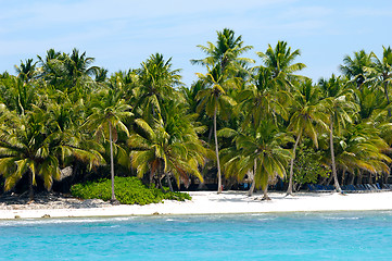 Image showing Island with beautiful beach