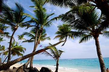 Image showing Exotic beach with white sand