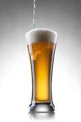 Image showing Beer in glass on white background