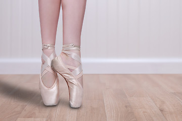 Image showing Perfect Ballet Dancer En Pointe With Copy Space