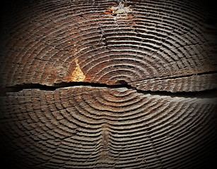 Image showing cracked spruce texture