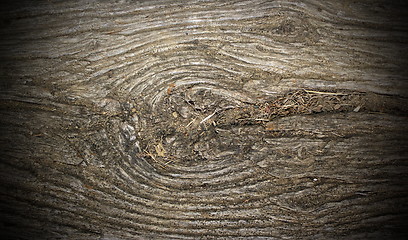 Image showing ancient poplar wood with knot