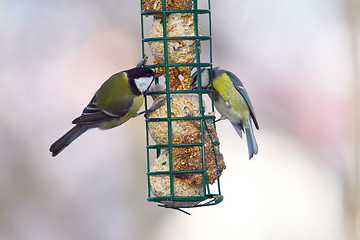 Image showing great and blue tits on feeder