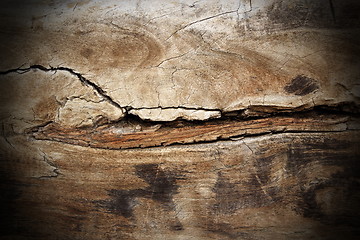 Image showing poplar wood cracked texture