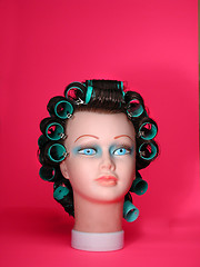Image showing Mannequin In Curlers