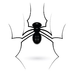 Image showing spider