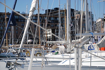 Image showing Several sailboats