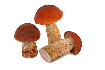 Image showing Three beautiful mushroom ???????????? on a white bac