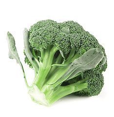 Image showing Broccoli vegetable