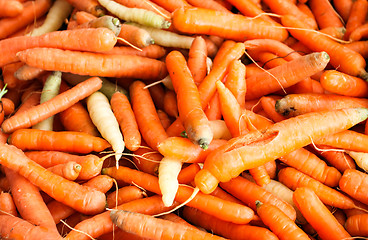 Image showing Carrots