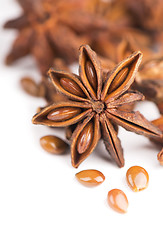 Image showing Whole Star Anise isolated on white background