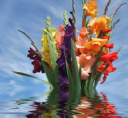 Image showing sinking bunch of gladioli flowers