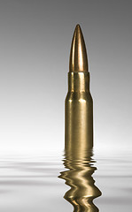 Image showing sunken metallic ammunition