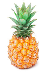 Image showing Pineapple