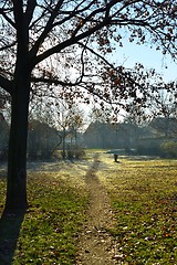 Image showing Small Pathway going trough the park