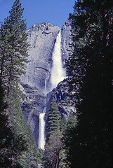 Image showing Yosemite Falls 