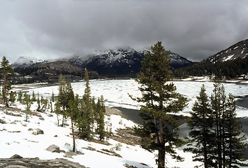 Image showing Yosemite National Park