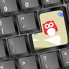 Image showing owl on computer keyboard key with blue birds