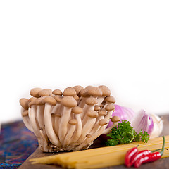 Image showing Italian pasta and mushroom sauce ingredients