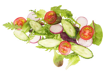 Image showing cut cucumbers, garden radish, tomatoes and lettuce leaves