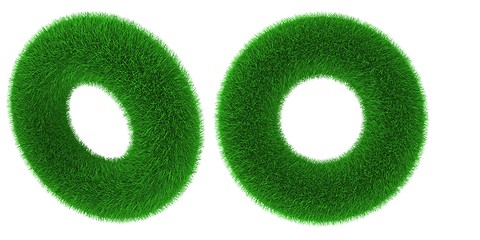 Image showing Grassy torus object