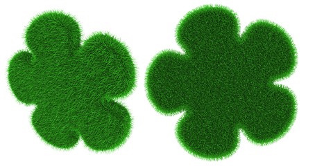 Image showing Grassy flower shaped object