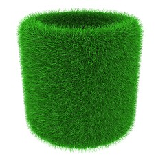 Image showing Grassy tube object