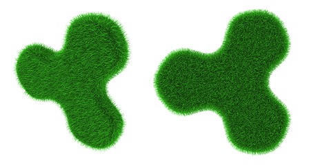 Image showing Grassy flower shaped object