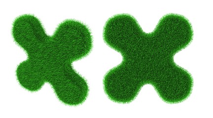 Image showing Grassy flower shaped object