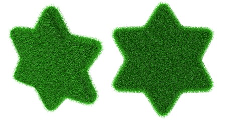 Image showing Grassy star object