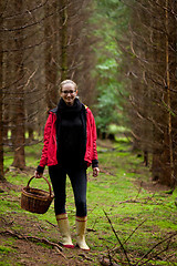 Image showing young woman collecting mushrooms in forest