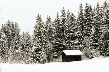 Image showing forest and field  winter landscape