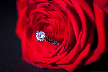 Image showing Diamond engagement ring in the heart of a red rose