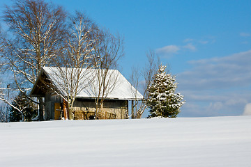 Image showing forest and field  winter landscape