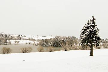 Image showing forest and field  winter landscape