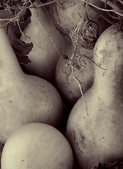 Image showing Sensual Gourds