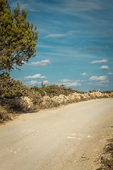 Image showing empty road in sunlight blue sky destination