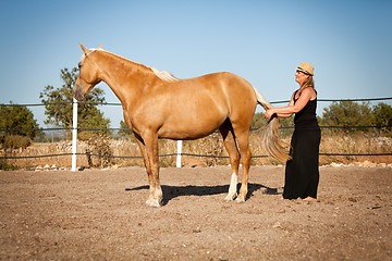 Image showing young woman training horse outside in summer