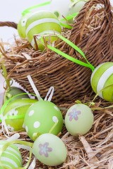 Image showing Colourful green Easter eggs in straw