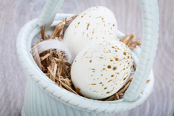 Image showing Three natural blue Easter eggs in a basket